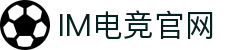 IM(股份有限公司)电竞-电子竞技平台